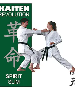 karate-gui