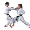 karate-gui