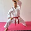 karate-gui