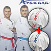 karate-gui
