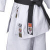 karate-gui
