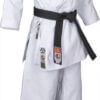karate-gui