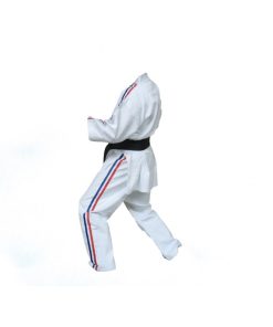 karate-gui