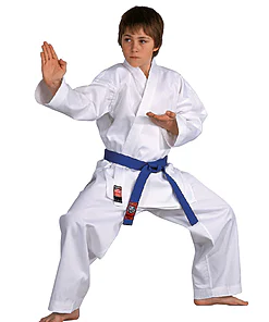 Dojo-Line de karate-gui - Danrho