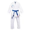karate-gui