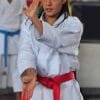 karate-gui