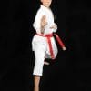 karate-gui