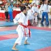 karate-gui