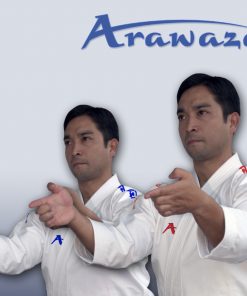karate-gui