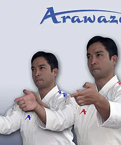 karate-gui
