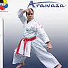 karate-gui
