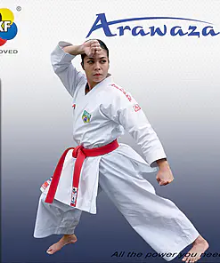 karate-gui