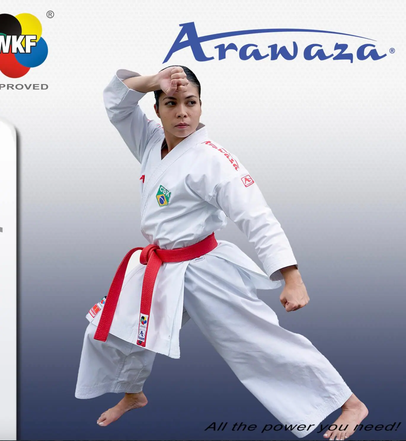 karate-gui