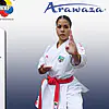 karate-gui