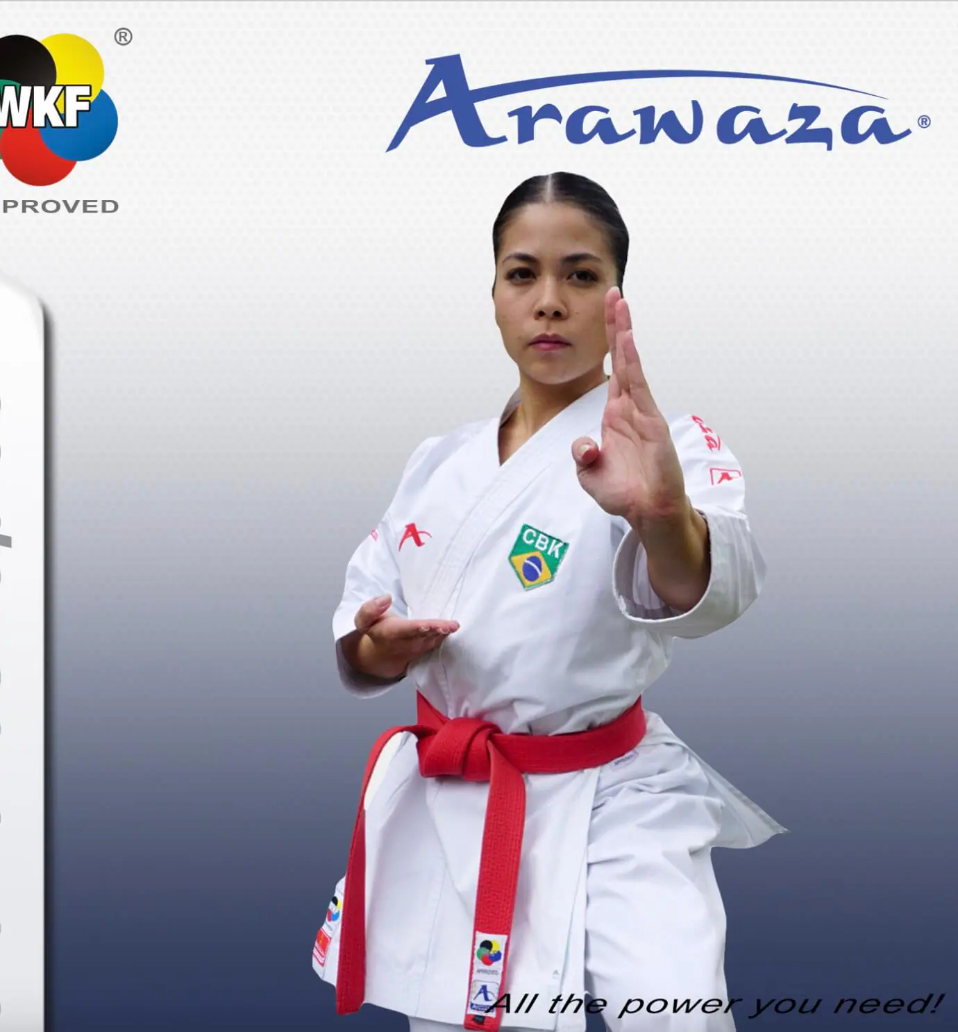karate-gui