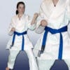 karate-gui