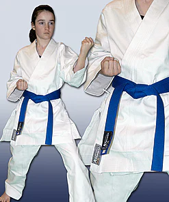 karate-gui