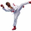 karate-gui