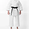 karate-gui