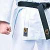 karate-gui