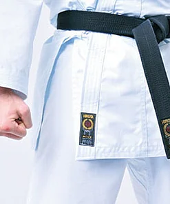 karate-gui