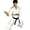 karate-gui