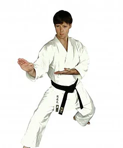 karate-gui