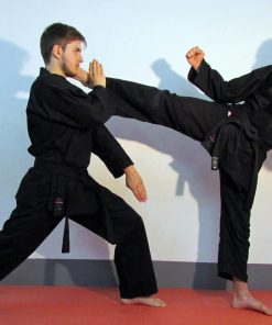 karate-gui