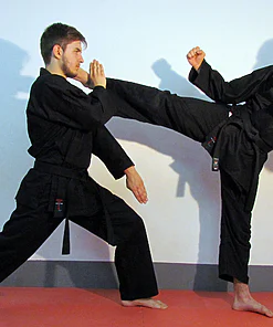 karate-gui