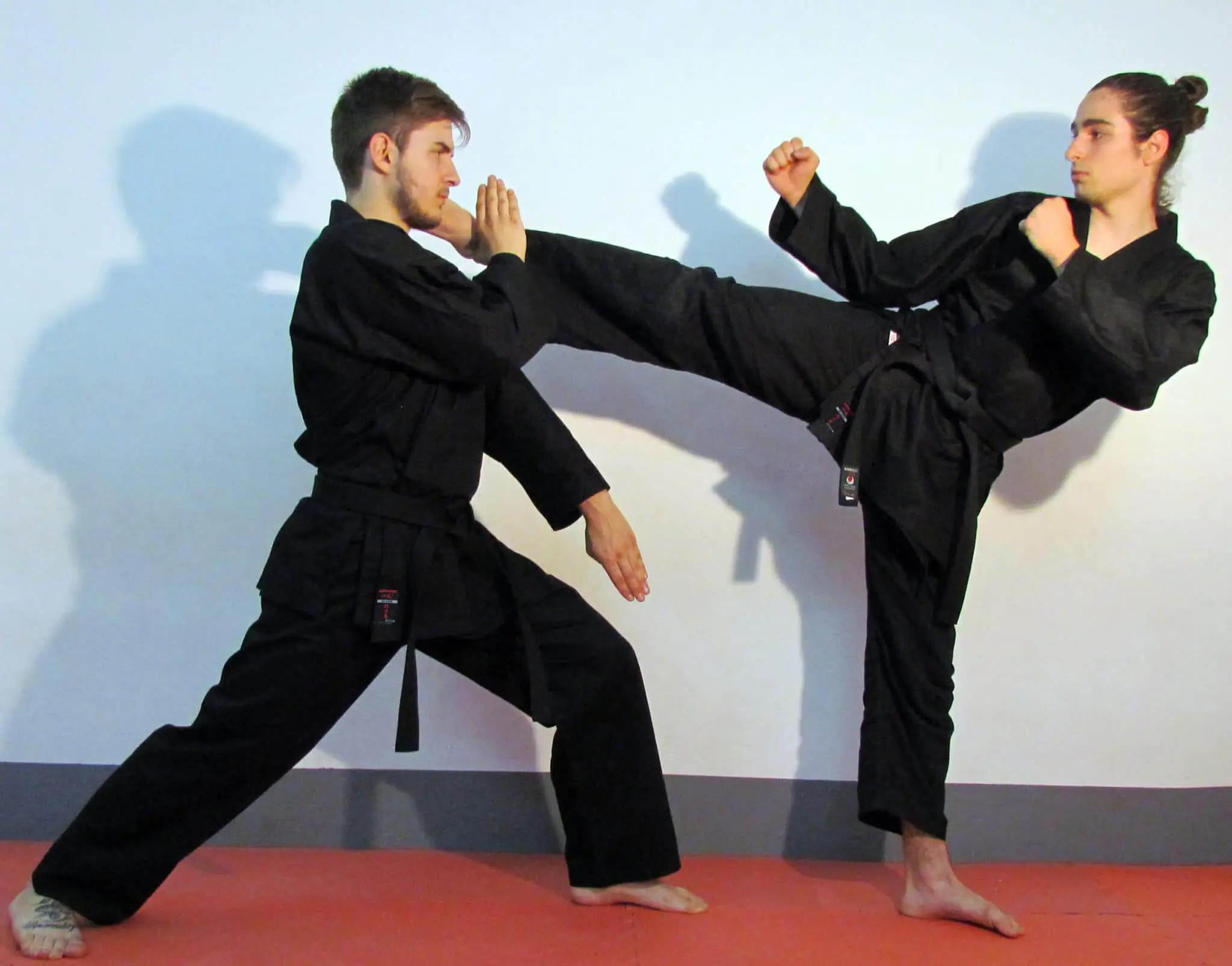 karate-gui