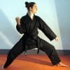 karate-gui