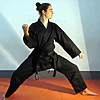 karate-gui