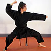 karate-gui