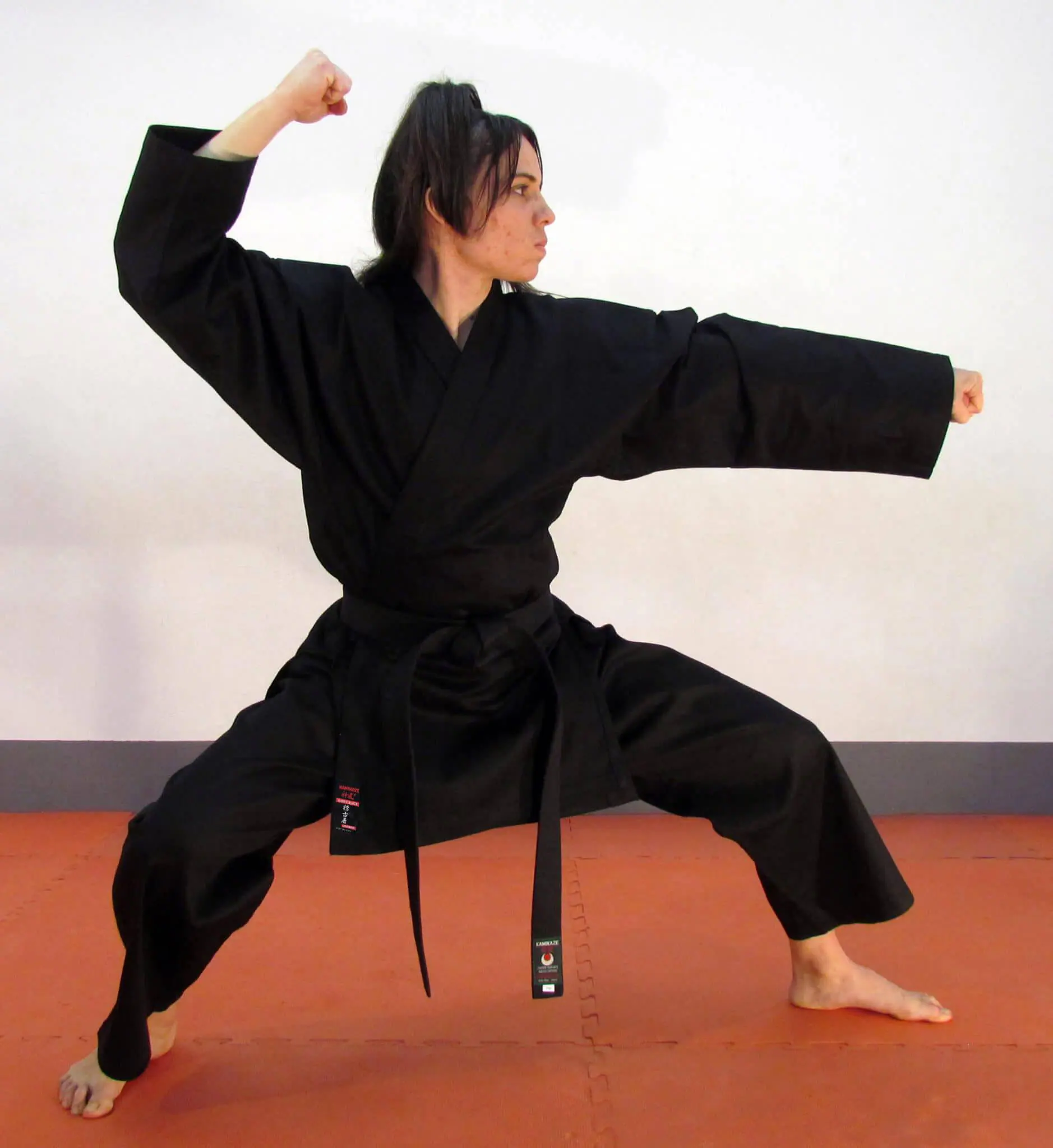 karate-gui