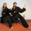 karate-gui