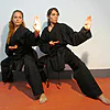 karate-gui