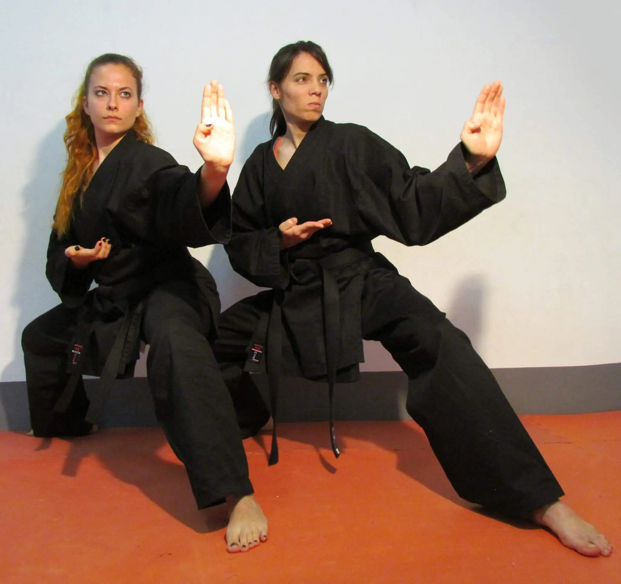 karate-gui