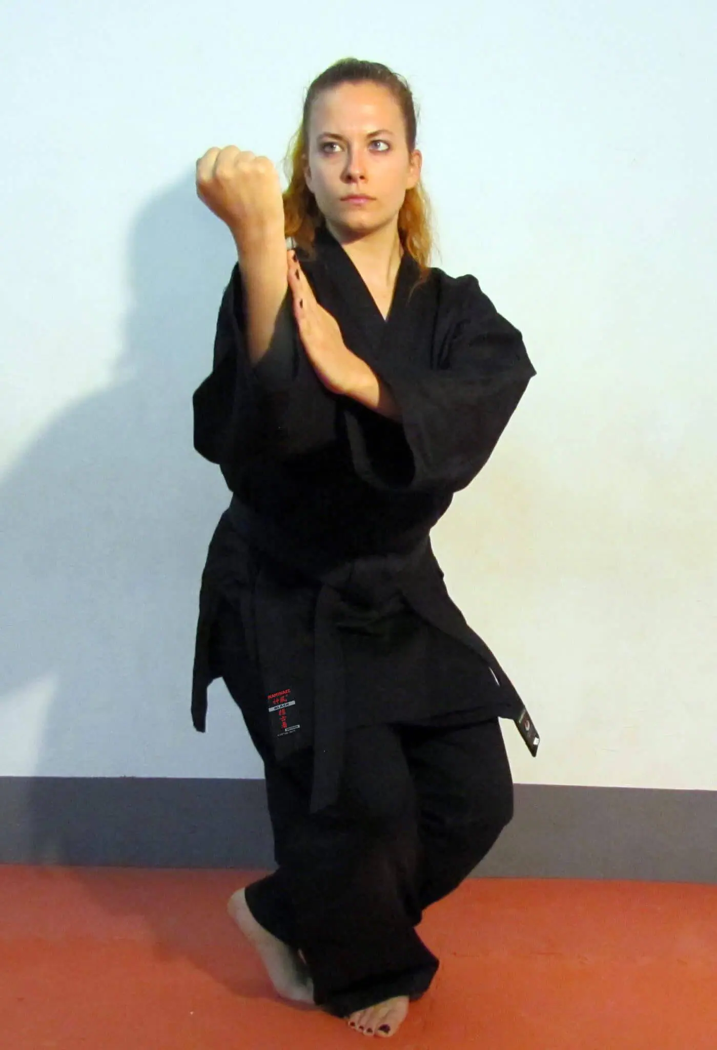 karate-gui