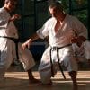 karate-gui