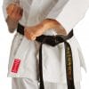 karate-gui