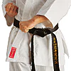 karate-gui
