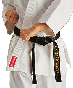 karate-gui