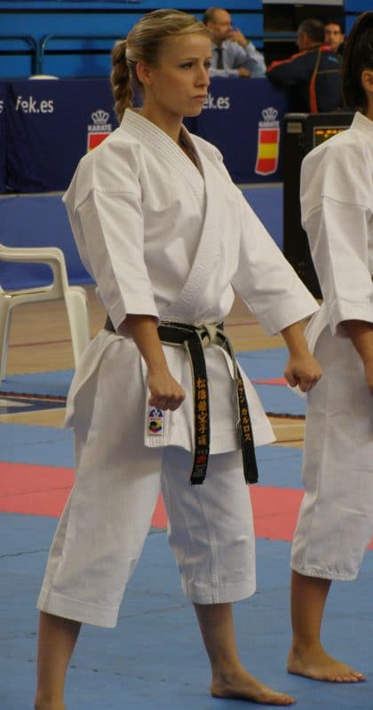 Karate-gi