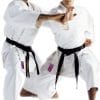 karate-gui