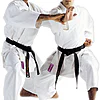karate-gui