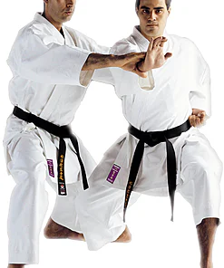 karate-gui