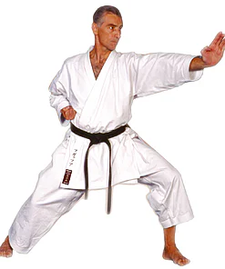 karate-gui kamikaze SOBERANO