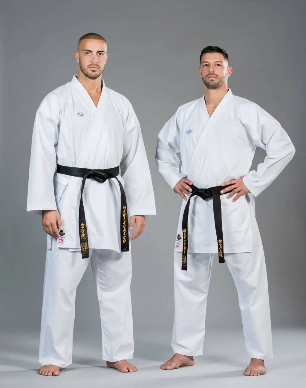 karate-gui