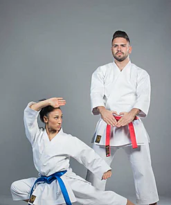 karate-gui