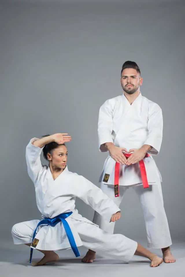 karate-gui